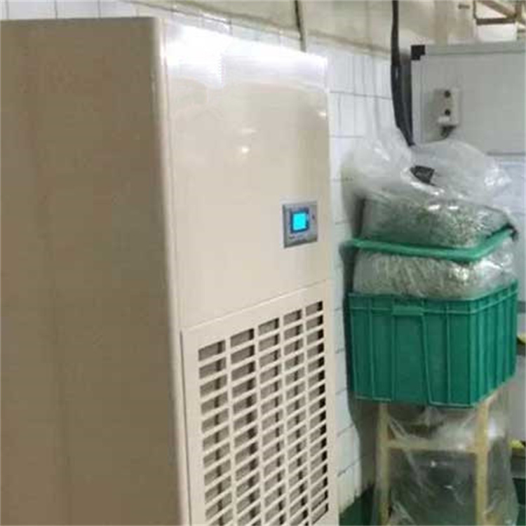 揭秘弱電機房：如何用專業除濕機守護設備與數據安全